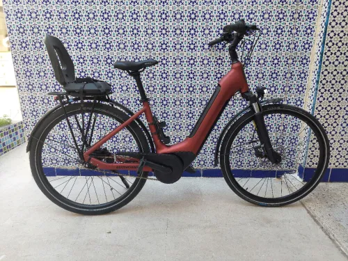 Velo electrique winora n8 trial