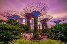 Singapour 