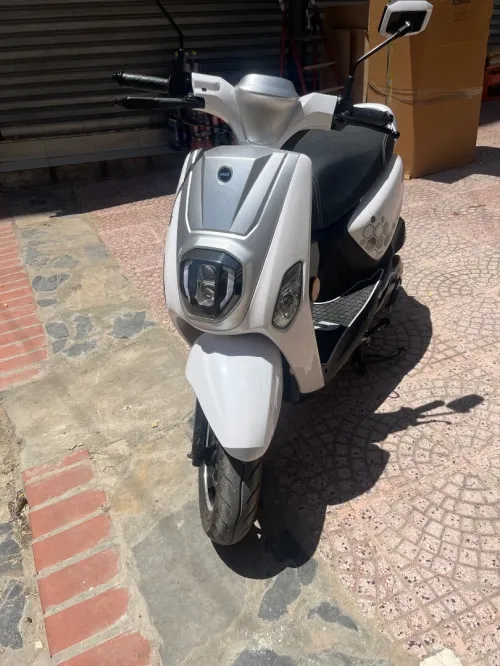 Vms Coxi 2025