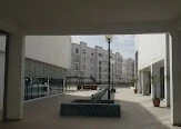 Cherche achat Appartement F3 Alger Cheraga