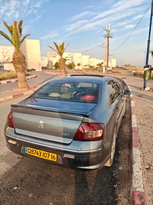 Peugeot 407 2007 407