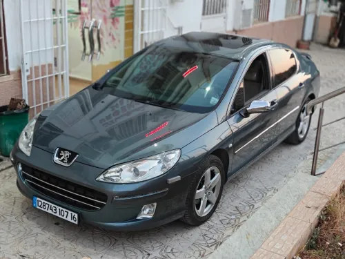 Peugeot 407 2007 407