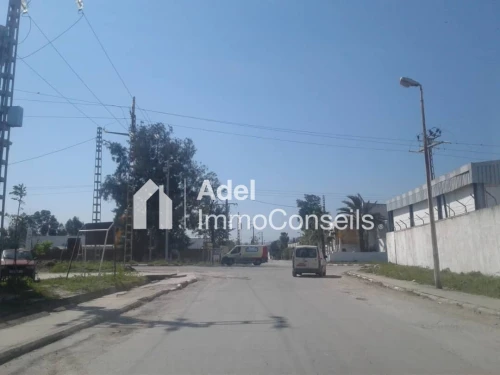 Location Hangar - Usine Annaba Annaba
