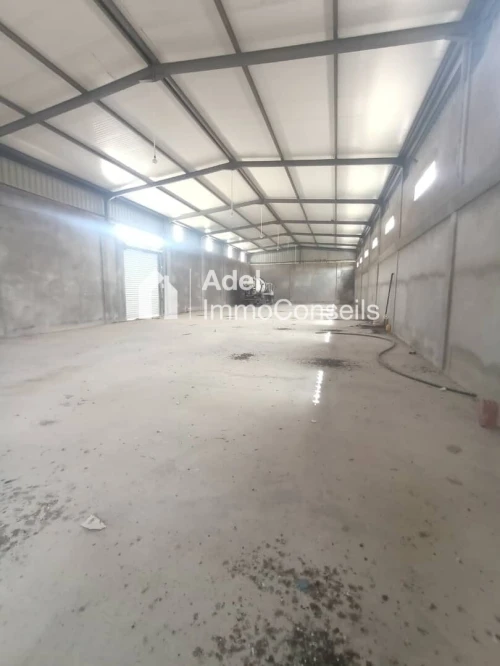 Location Hangar - Usine El Tarf Drean