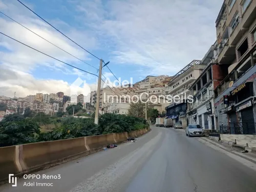 Vente Local Annaba Annaba