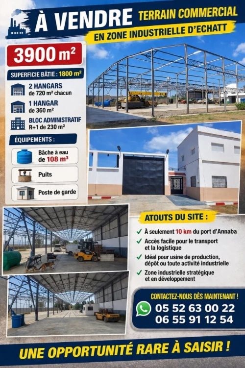 Vente Hangar - Usine El Tarf Echatt
