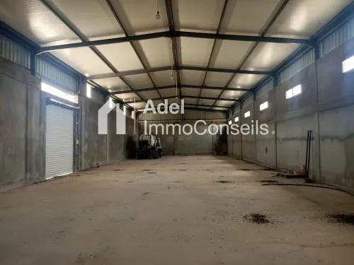 Location Hangar - Usine El Tarf Drean