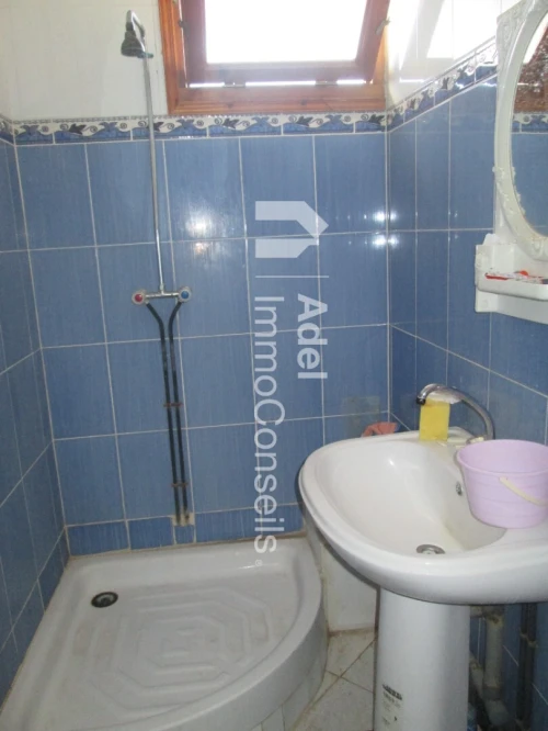 Location Appartement F3 Annaba Annaba