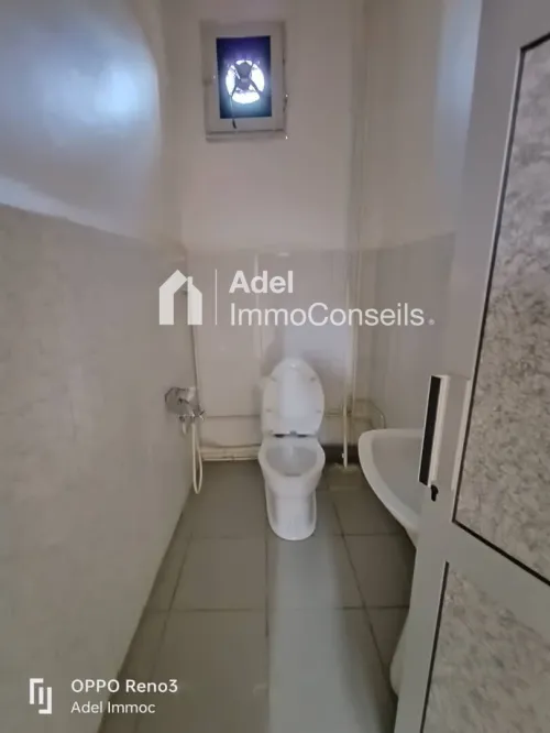 Location Local Appartement Annaba Annaba