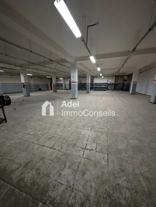 Location Local Annaba Annaba