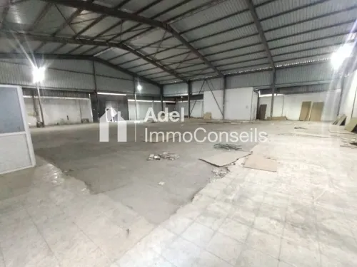 Location Hangar - Usine Annaba El hadjar