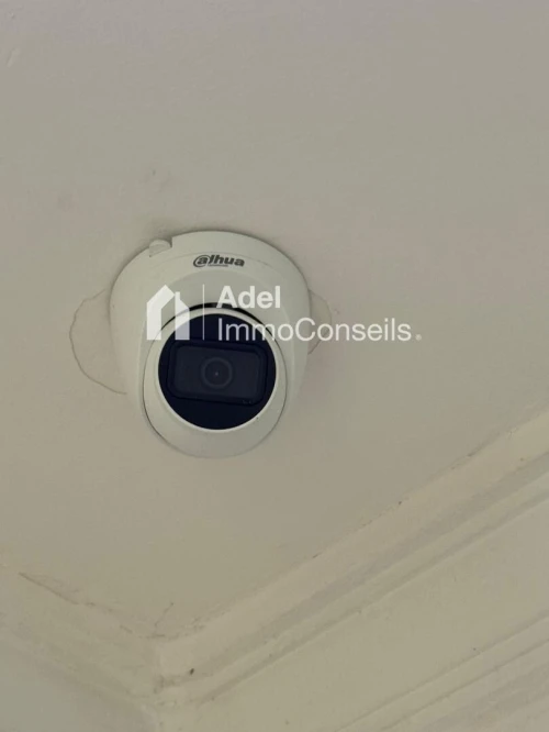 Location Appartement F3 Annaba Annaba