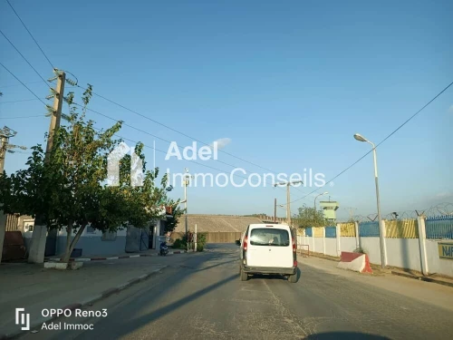Location Hangar - Usine Annaba Barrahel