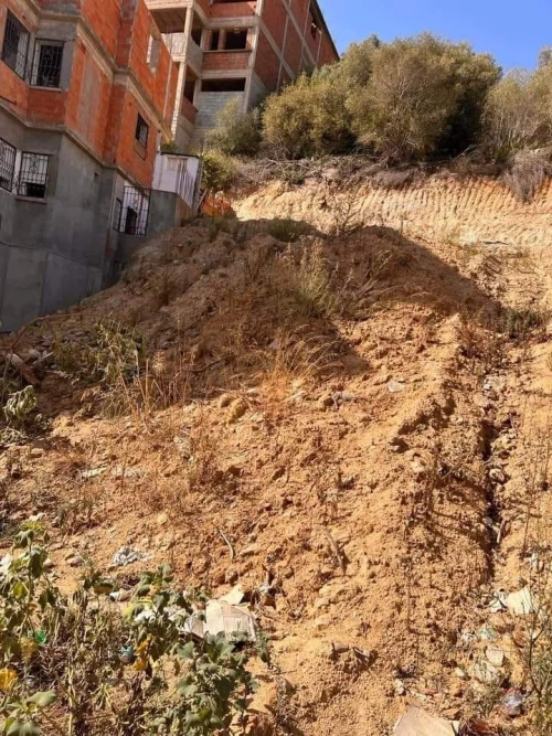 Vente Terrain Annaba Annaba