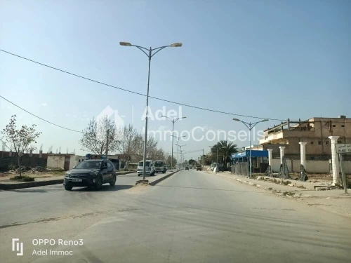 Vente Terrain El Tarf Echatt