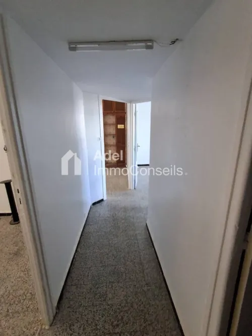 Location Appartement F3 Annaba Annaba