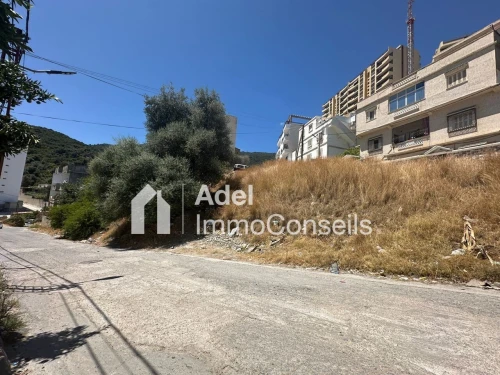 Vente Terrain Annaba Annaba
