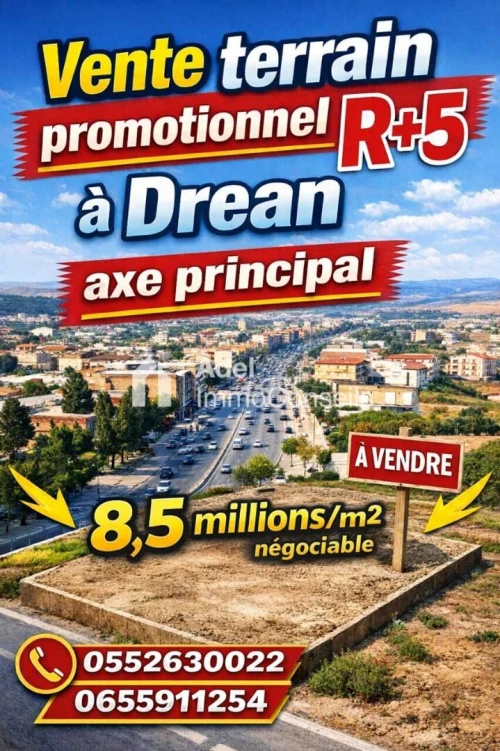 Vente Terrain El Tarf Drean
