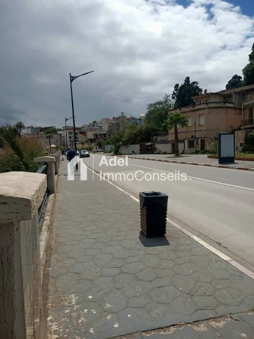 Vente Terrain Annaba Annaba