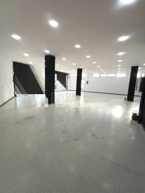 Location Local Annaba Annaba