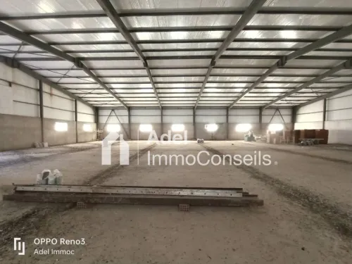 Location Hangar - Usine El Tarf Drean