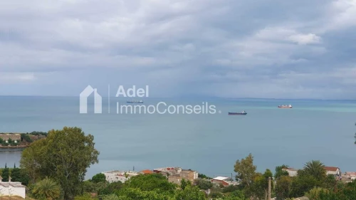 Vente Terrain Annaba Annaba