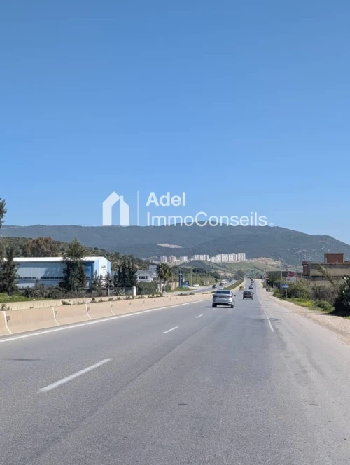 Location Terrain Annaba Barrahel