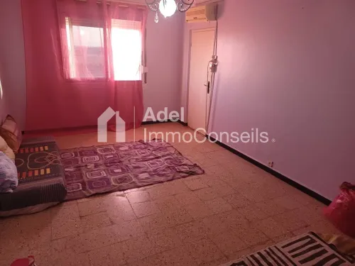 Location Appartement F3 El Tarf Echatt
