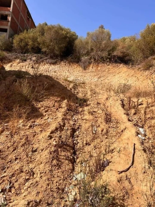 Vente Terrain Annaba Annaba