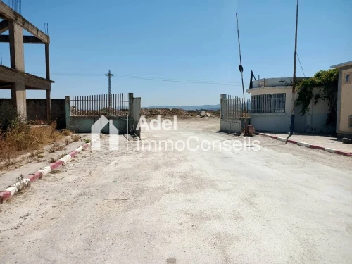 Vente Terrain El Tarf Ben mehdi