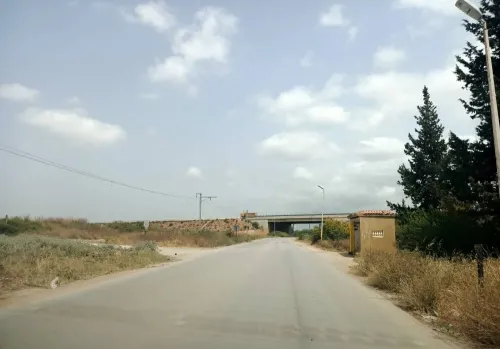Location Hangar - Usine El Tarf Drean