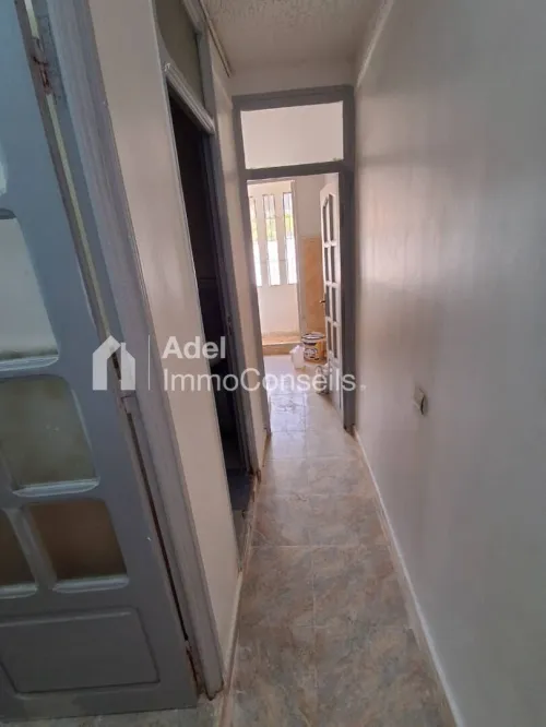 Location Appartement F3 Annaba Annaba