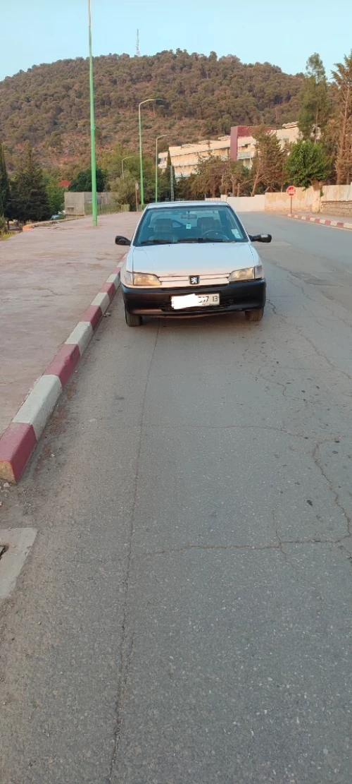 Peugeot 306 1997 306
