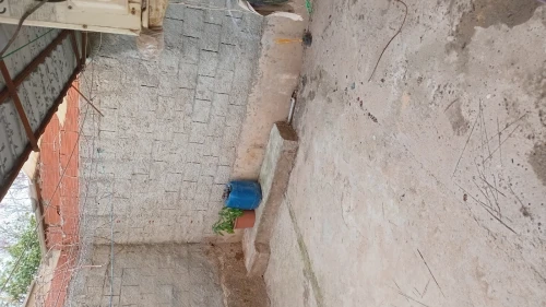 Vente Appartement F3 Alger Staoueli