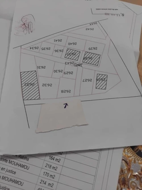 Vente Terrain Boumerdès Boumerdes