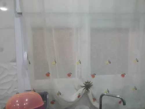 Vente Appartement F3 Jijel El aouana