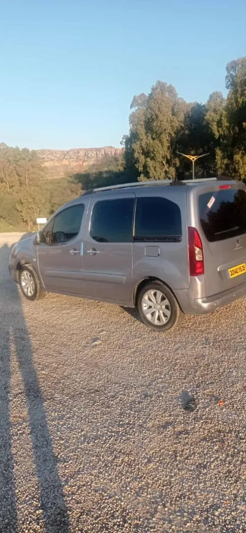 Peugeot Partner 2015 Tepee