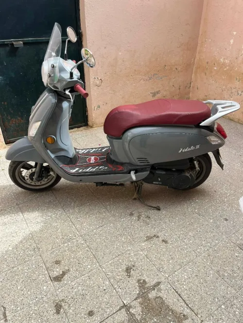 Sym Fidel 2024