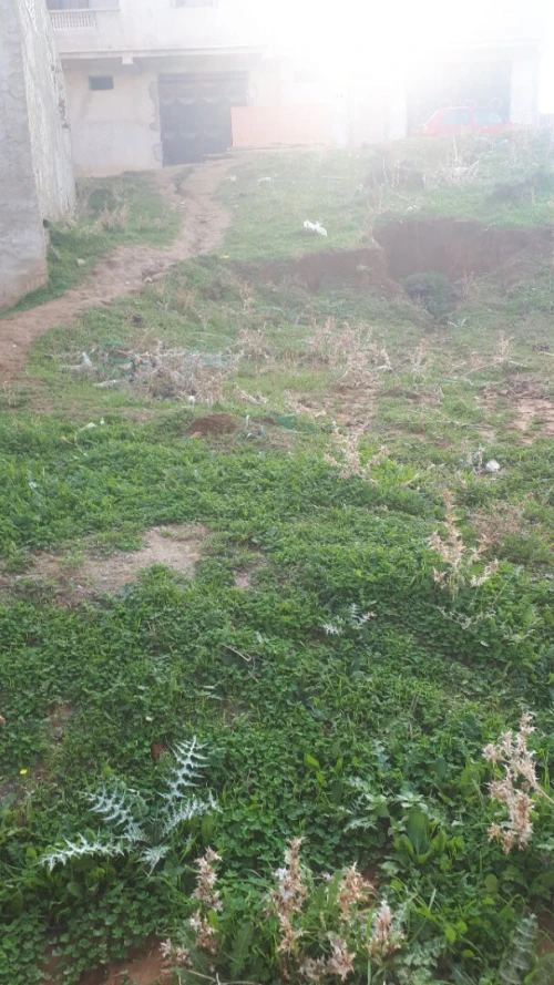 Vente Terrain Boumerdès Khemis el khechna