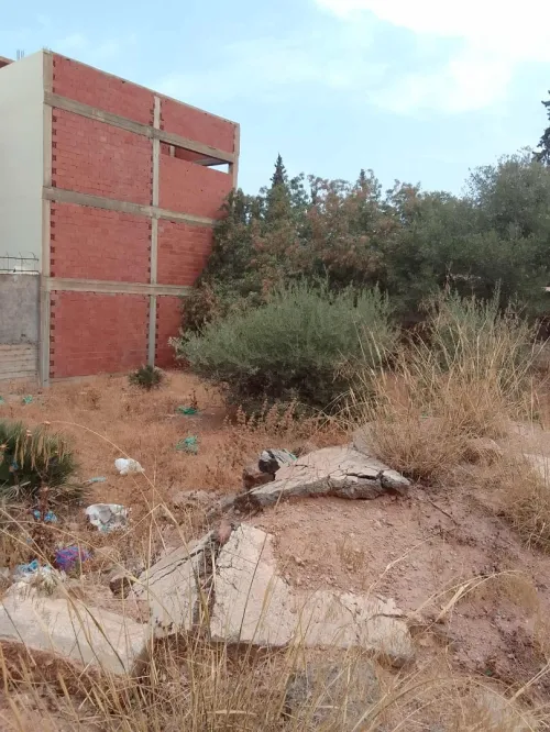 Vente Terrain Tlemcen Tlemcen
