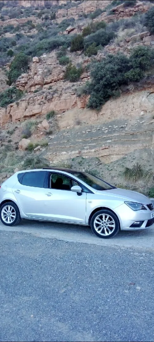 Seat Ibiza 2014 Sport Edition