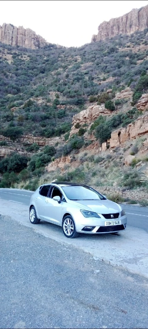 Seat Ibiza 2014 Sport Edition
