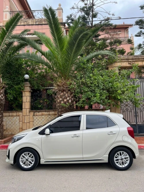 Kia Picanto 2022 Mornig