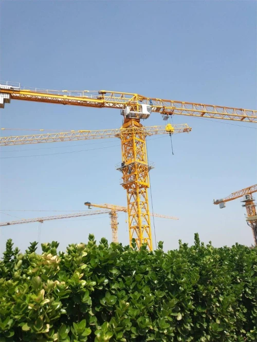 GRUE A TOUR DAHAN Neuve (6 Tonnes)
