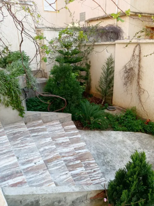 Vente Appartement Niveau de villa F6 Skikda Skikda