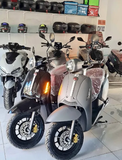 Vms Panaria 2026