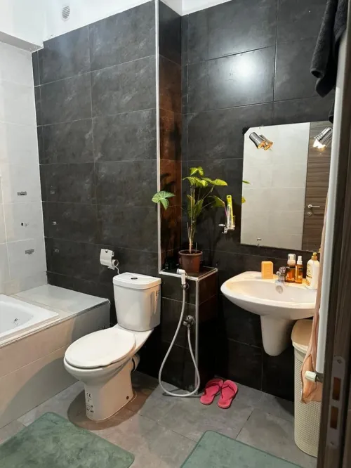 Location Appartement F3 Alger Kouba