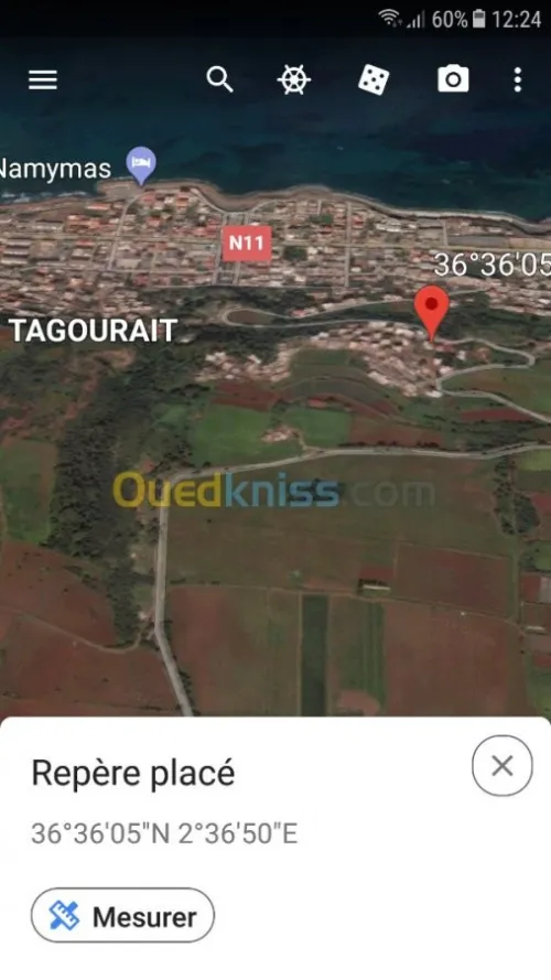 Vente Terrain Tipaza Ain tagourait