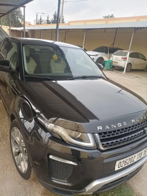 Rover Rover 2018 Rover
