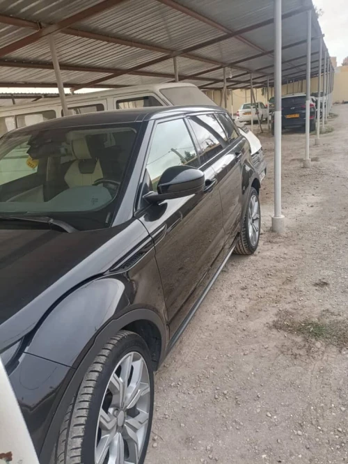 Rover Rover 2018 Rover